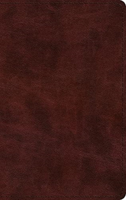 Esv Large Print Thinline Bible Tru