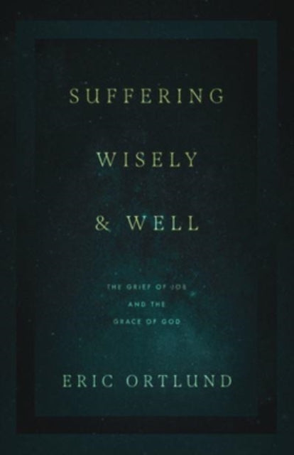 Suffering Wisely And Well The Grie