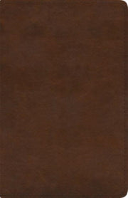 Esv Spanish English Parallel Bible
