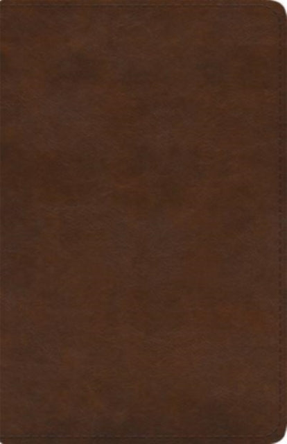 Esv Spanish English Parallel Bible