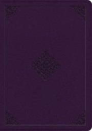 Esv Single Column Journaling Bible