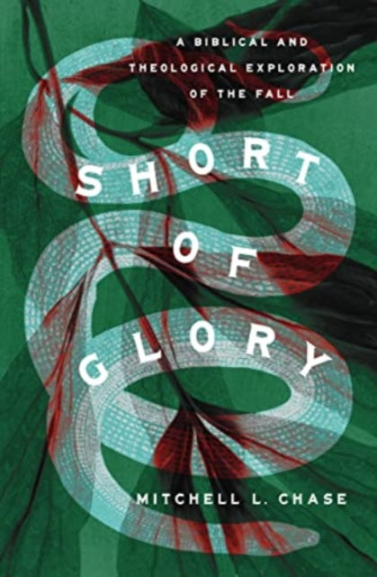 Short Of Glory A Biblical And Theologic