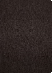 Esv Study Bible Large Print Buffalo L By Esv Bibles