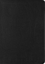 Esv New Testament With Psalms And Prove