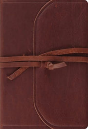 Esv Student Study Bible Brown Flap Wi