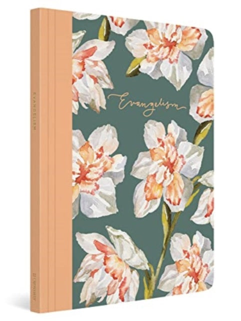Esv Prayer Journal 30 Days On Evangelis