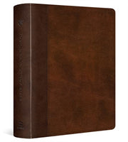 Esv Journaling Study Bible Trutone Br