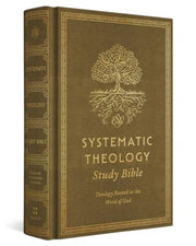 Esv Systematic Theology Study Bible