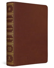 Esv Systematic Theology Study Bible