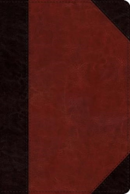 Esv Study Bible Personal Size Trutone