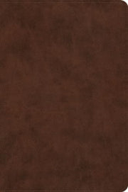 Esv Holy Bible Dyslexia Friendly Editio