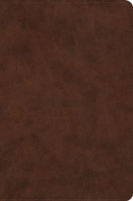 Esv Holy Bible Dyslexia Friendly Editio