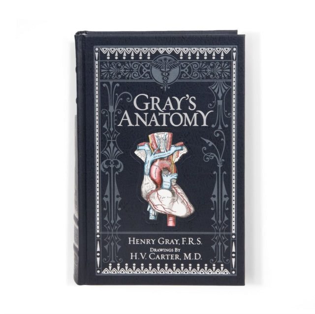 Grays Anatomy By Grays Anatomy