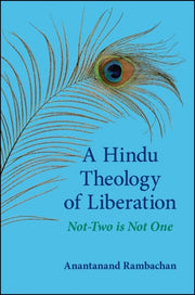 Hindu Theology Of Liberation By Anantanand Rambachan