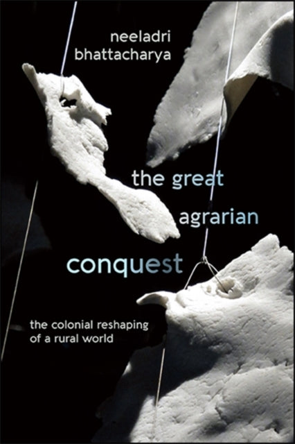 The Great Agrarian Conquest : The Coloni