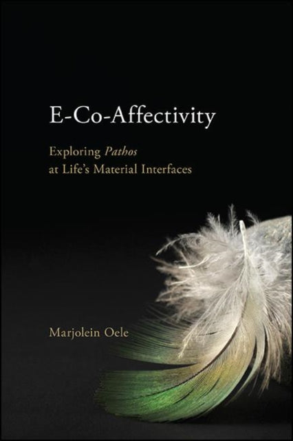 E-co-affectivity : Exploring Pathos At L