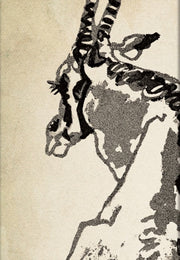 Solitary Oryx Alistair Bell Collection M By Lin.