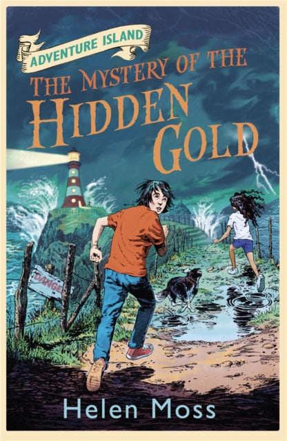 Mystery Of The Hidden Gold 3