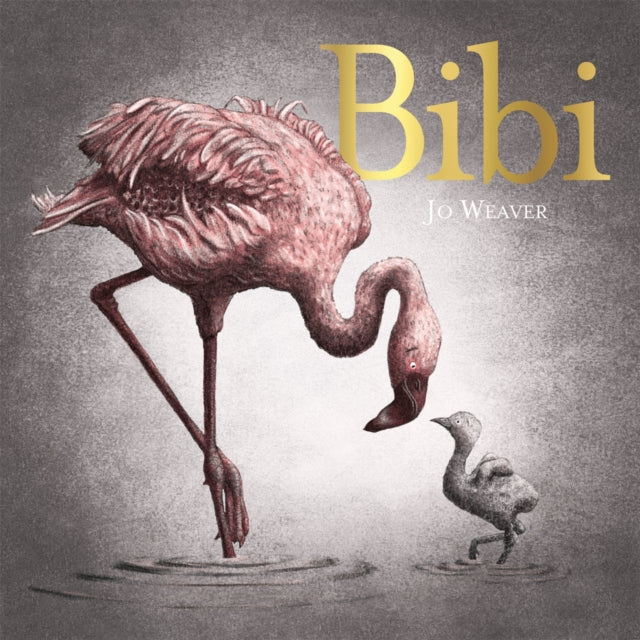 Bibi A Flamingos Tale