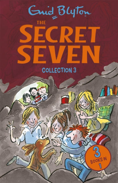 The Secret Seven Collection 3 Book