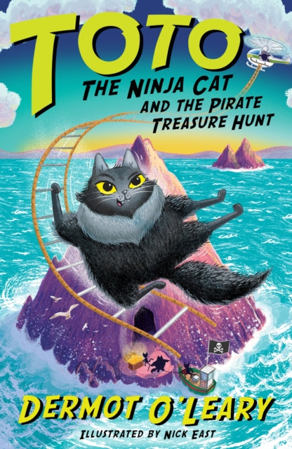 Toto The Ninja Cat/pirate Treasure Hunt