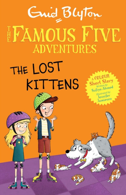 Lost Kittens