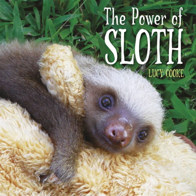 One Shot The Power Of Sloth