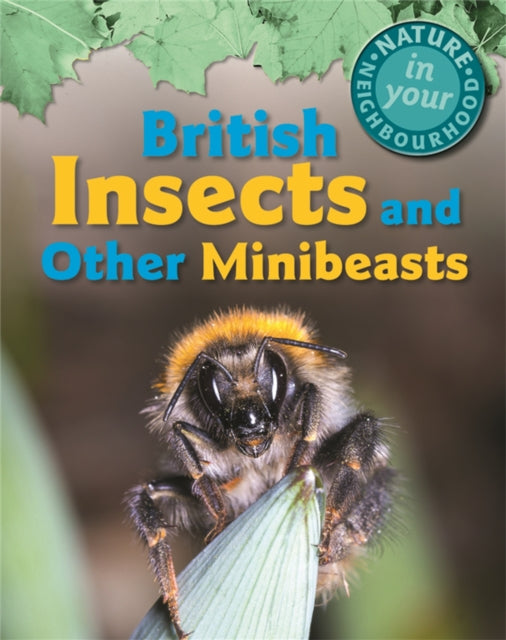British Insects & Other Minibeasts