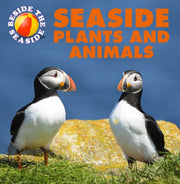 Beside The Seaside Plants Animals