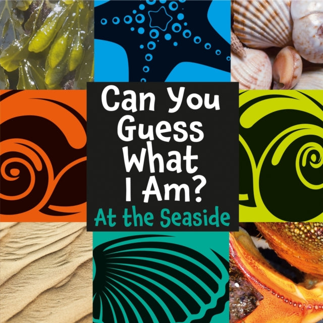 Can You Guess What I Am Seaside
