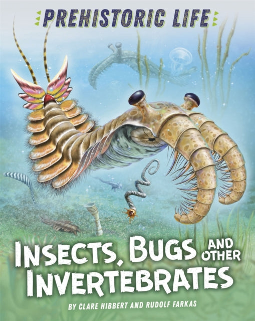 Insects Bugs & Other Invertebrates