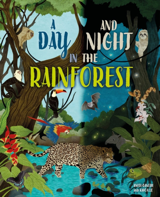 A Day And Night In A Rainforest By Franklin Watts