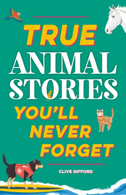 True Stories Youll Never Forget True