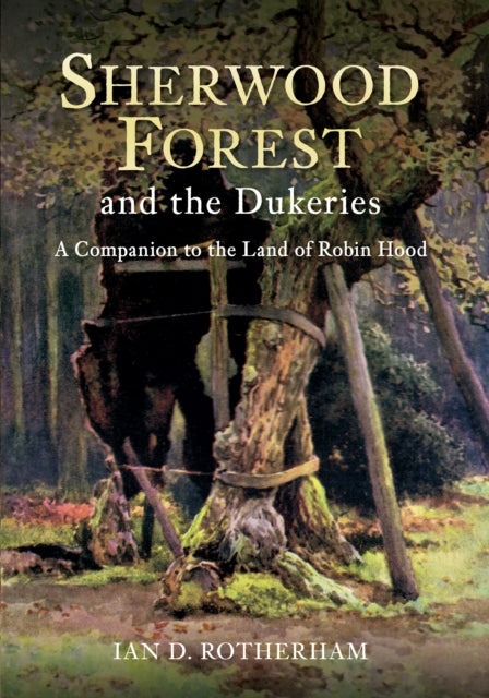Sherwood Forest The Dukeries