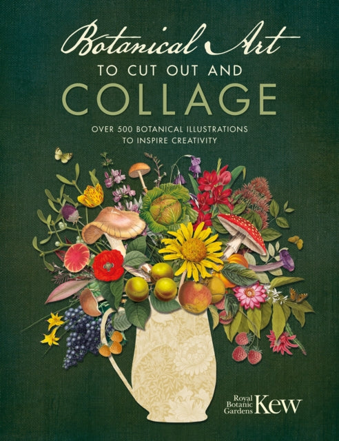 Botanical Art To Cut Out & Collage By Royal Botanic Garden