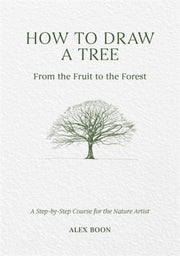How To Draw A Tree From/fruit To Forest