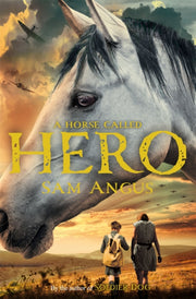 Horse Caled Hero