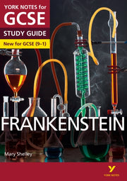 Frankenstein York Notes For Gcse 2015