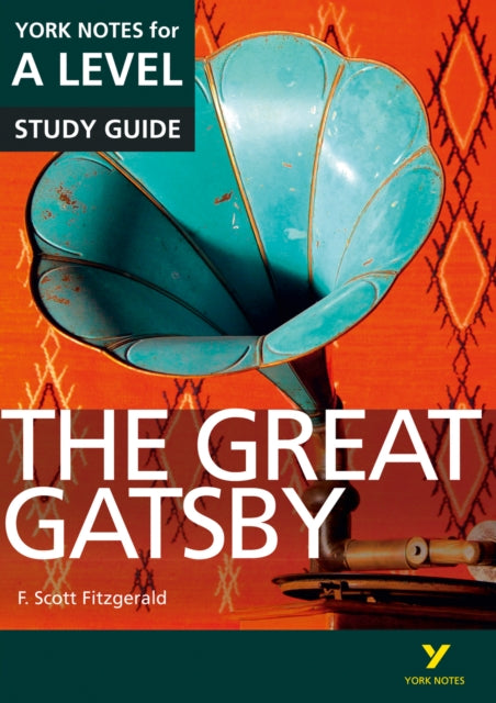Great Gatsby York Notes For Alevel 2015