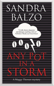 Any Pot In A Storm Large Print