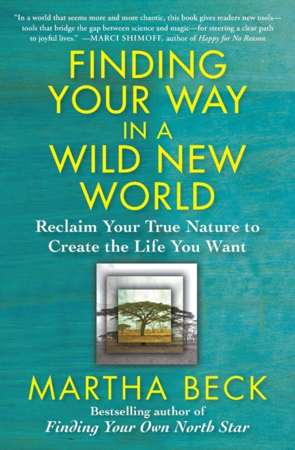 Finding Your Way In A Wild New World By Beck, Martha