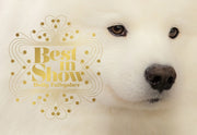 Best In Show