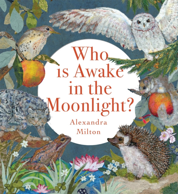 Who Is Awake In The Moonlight