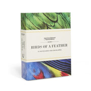 Birds Of A Feather