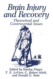 Brain Injury And Recovery: Theoretical A