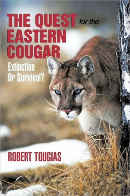 The Quest For The Eastern Cougar: Extinc