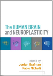Human Brain And Neuroplasticity