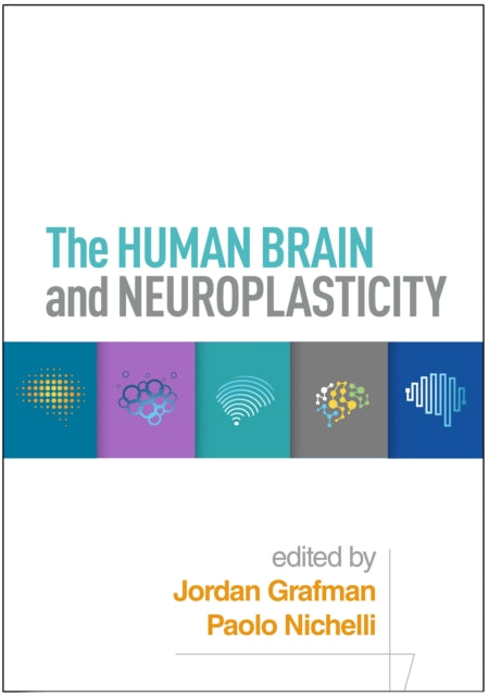 Human Brain And Neuroplasticity