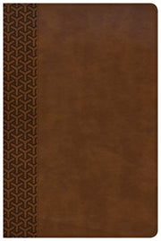 Csb Everyday Study Bible Brown By Csb Everyday Study Bible Brown