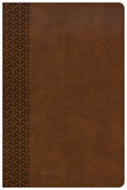Csb Everyday Study Bible Brown By Csb Everyday Study Bible Brown